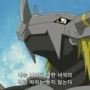 과일앤정원