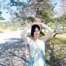 마치2리 마을회관 | 세종 근처 가볼만한곳 부용2리 마을회관 세종 벚꽃 명소