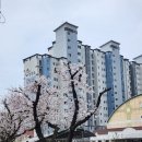 청미래아파트경로당 | 화순청미래아파트매매/2억800만원