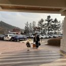 대관령호텔사우나 | 두 아이와 평창 켄싱턴 호텔 호캉스 후기+ 대관령 하늘목장 후기