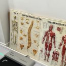 잠실의료기기 이미지