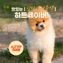 맘편한약국 이미지