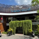 라빌라빌라 | 발리 짱구 풀빌라 숙소) 라라사 빌라, 플로팅 조식 후기