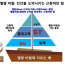 엘랑