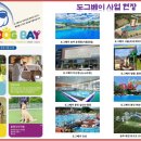 동탄호수 동물병원 이미지