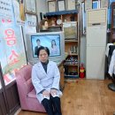 시티이용소 Daum카페