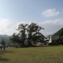 이서중학교 이미지