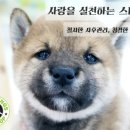 스타멍스 이미지