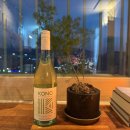 홈플러스 | 코노소비뇽블랑 홈플러스 가격 후기, 선물용 가성비 화이트와인 추천