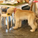 몽스토리 이미지