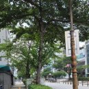 태평포시즌빌딩 이미지