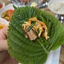 논산 취암동 현지인 로컬 꼼장어/닭발 맛집 회식장소 황소숯불꼼장어