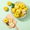 (주)더조은 이미지