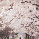 신현2리 마을회관 이미지