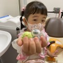 살아있는 뮤지엄 “니후레루” 1층.