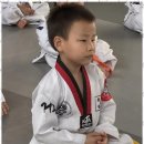 거룡태권도2관 이미지