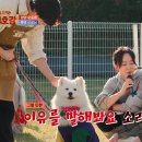 스카이개슬 이미지