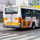 주정차단속-106 이미지