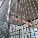 새서울농장 이미지