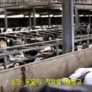 영상축산 이미지