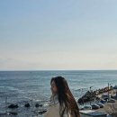 텍시마이앤티 | 모든게 느좋인 묵호🌊💙