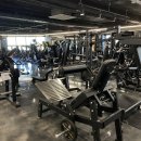 로망 휘트니스 이미지