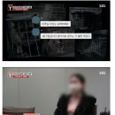 궁금한 이야기y 새덕후 편 정리 (방송은 절대 새덕후편x 비판적ㅇ) 이미지