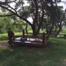 솔숲유원지 이미지