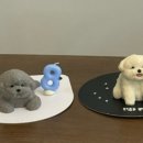 너를닮은케이크 이미지