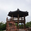 봉래산체육공원 로이슈