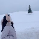 동두천시청 화장실(본관_1F) | [삿포로여행] 삿포로 4박5일 여행 후기(다루마&amp;비에이투어&amp;오타루&amp;조잔케이 유라쿠소안 료칸)