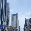 [부산 여행]부산 해리단길 카페 모루씨 후기 | 해리단길 산책 코스