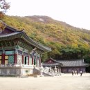 춘성 이미지