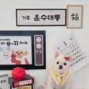 꽁꼼하개 이미지