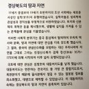 전 윤효전 초상(傳 尹孝全 肖像) | 경상도 개도 700주년 기념 특별전-제4부. 경상감영 3기(대구 시기 1602-1895)