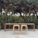 솜리갈비 | 2026 여섯 번째 ⭐️SEULOG⭐️ (2026/03/09 ~2026/03/22)