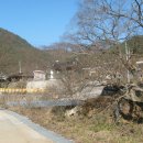 보성강7 이미지