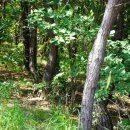 백학농장 이미지