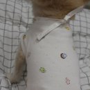 오현농장 이미지