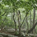 제이엘테크 - 계양구 경명대로 1058 | 오대산 노인봉1338m 소금강 오대산국립공원