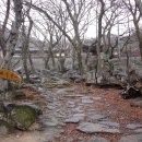 대성암 갈림길 이미지