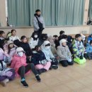 용인대석사명품태권도 이미지