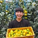 늘갓농장 이미지