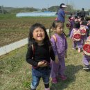 임영택농장 이미지