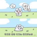 제주담투어