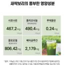 자연새싹 이미지