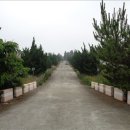 강정동-19 이미지