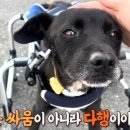 까미농장 이미지