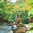 계곡여행 이미지