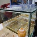 아리랑핫도그정관점 이미지